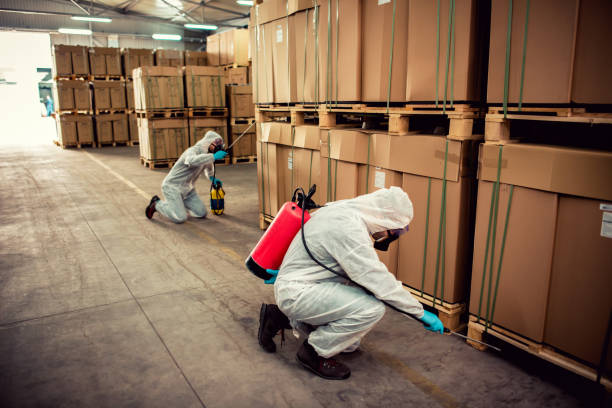 Best Ant Control Services  in Nyssa, OR