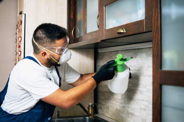 Best Emergency Pest Control  in Nyssa, OR