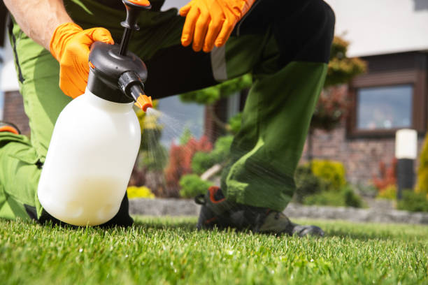 Reliable Nyssa, OR Pest Control Solutions