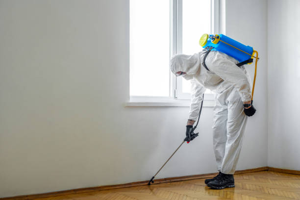 Best Local Pest Control Services  in Nyssa, OR