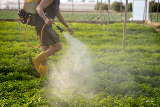 Best Pest Prevention Services  in Nyssa, OR