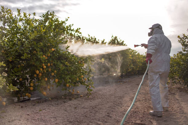 Best Bed Bug Extermination  in Nyssa, OR
