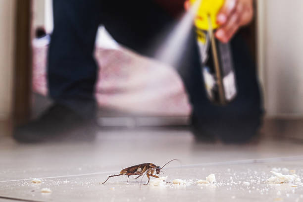Best Affordable Pest Control Services  in Nyssa, OR
