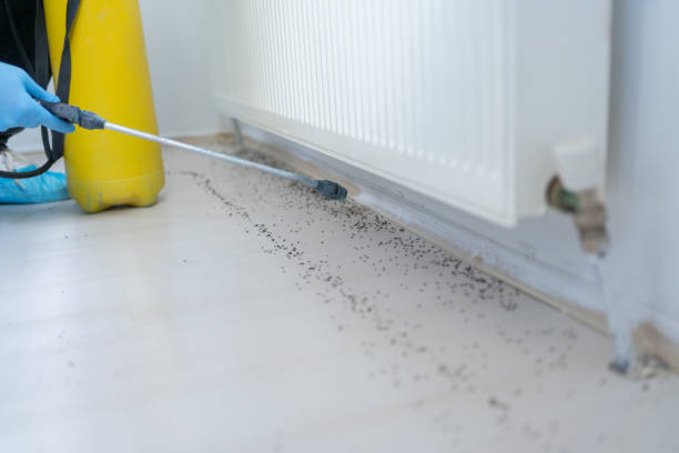 Best Bed Bug Extermination  in Nyssa, OR