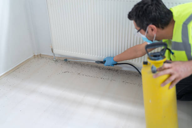 Best Flea Control Services  in Nyssa, OR