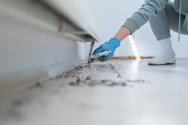 Best Rat Extermination Near Me  in Nyssa, OR