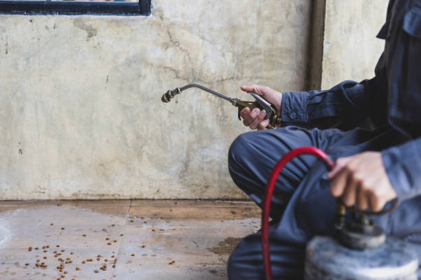 Best Best Pest Control Companies  in Nyssa, OR